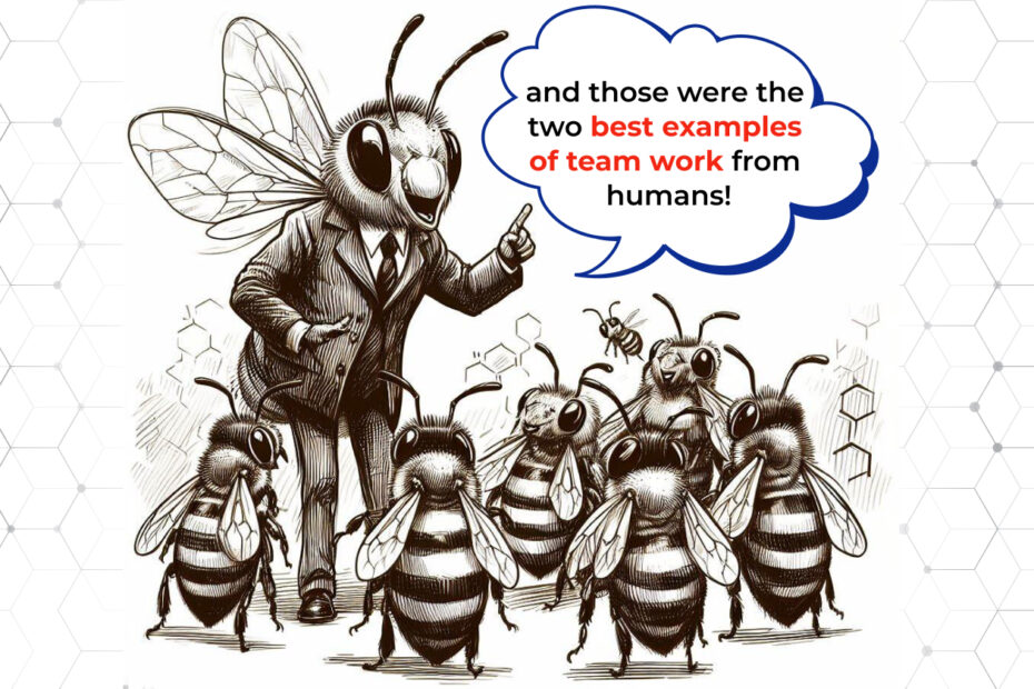 Dedicated Software Development Team