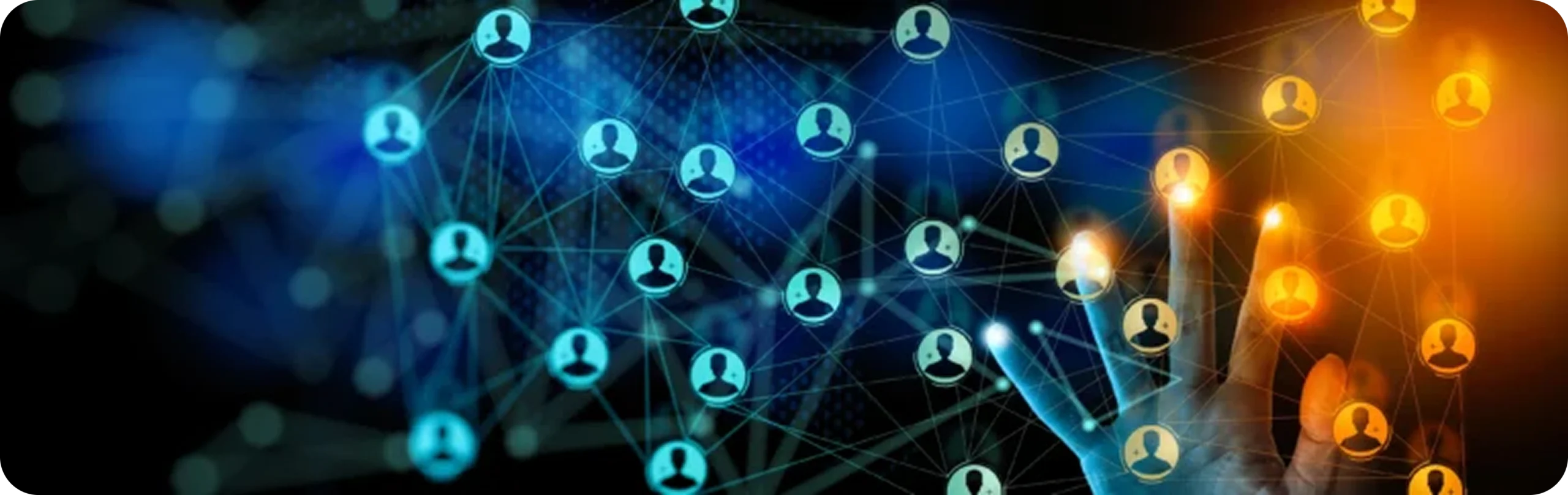 Multi-Tenant Screening Platform